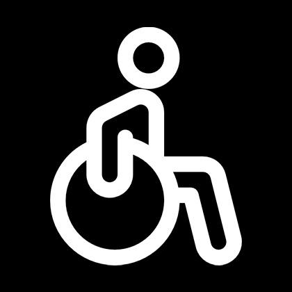 Toilets for people with disabilities