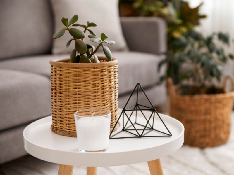 Foto noticia: Renueva tu hogar en PC La Mareta en un solo lugar