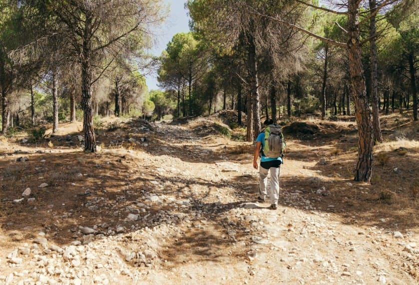 Senderismo en Telde: rutas, planes y consejos clave
